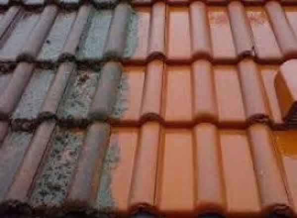 Traitement toiture anti mousse